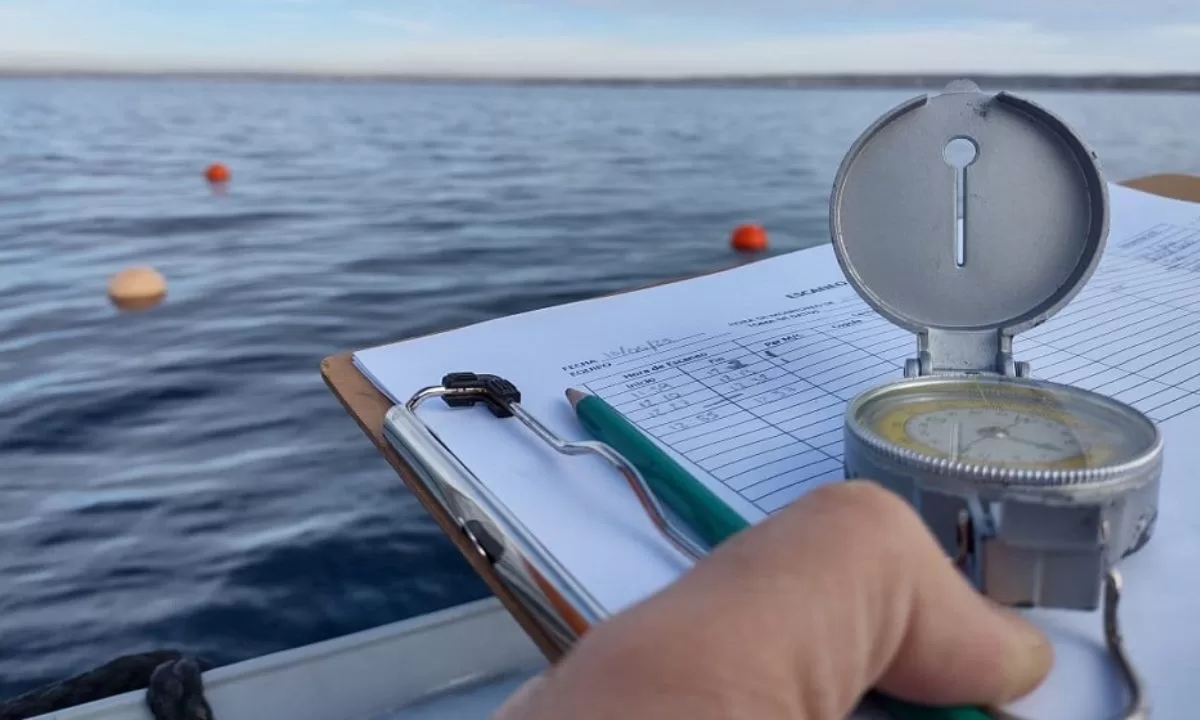 Realizan estudio acústico de las Ballenas Franca Austral en el Golfo Nuevo
