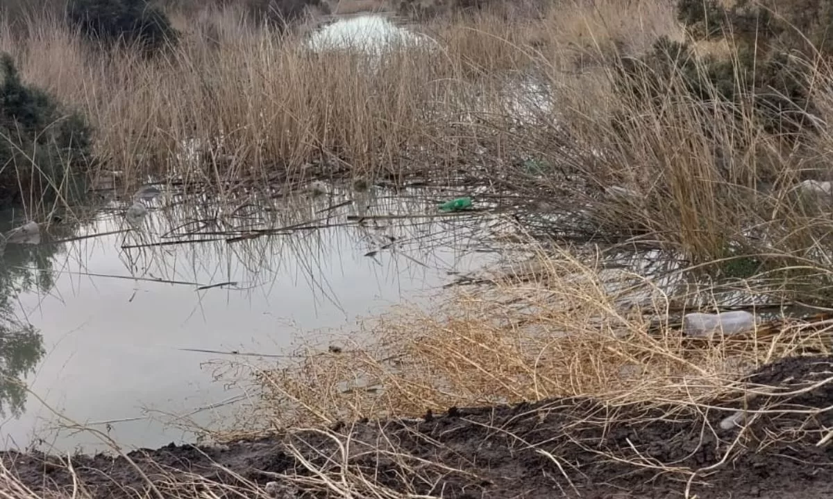Gran presencia de ramas y residuos en los canales de riego