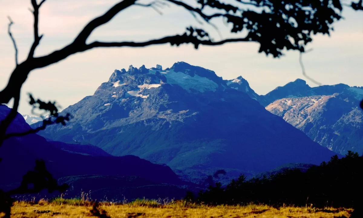 El Gobierno de la Provincia convoca a la presentación de proyectos en el marco de la Ley de Bosques