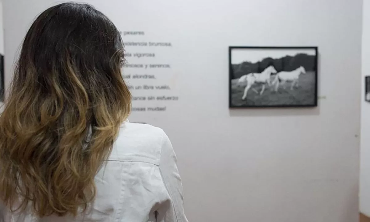 Habrá una charla a cargo de la fotógrafa Verónica Mastrosimone