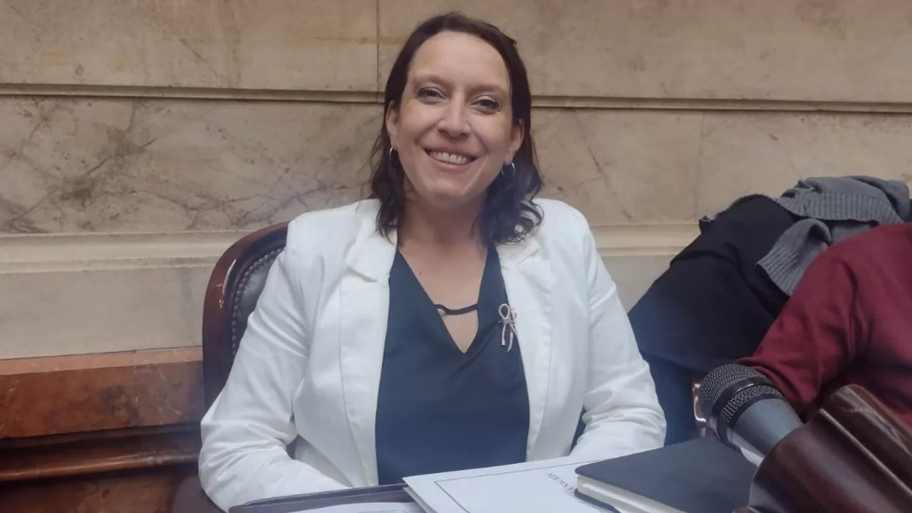 Alianiello destacó la media sanción para la reforma en Ganancias
