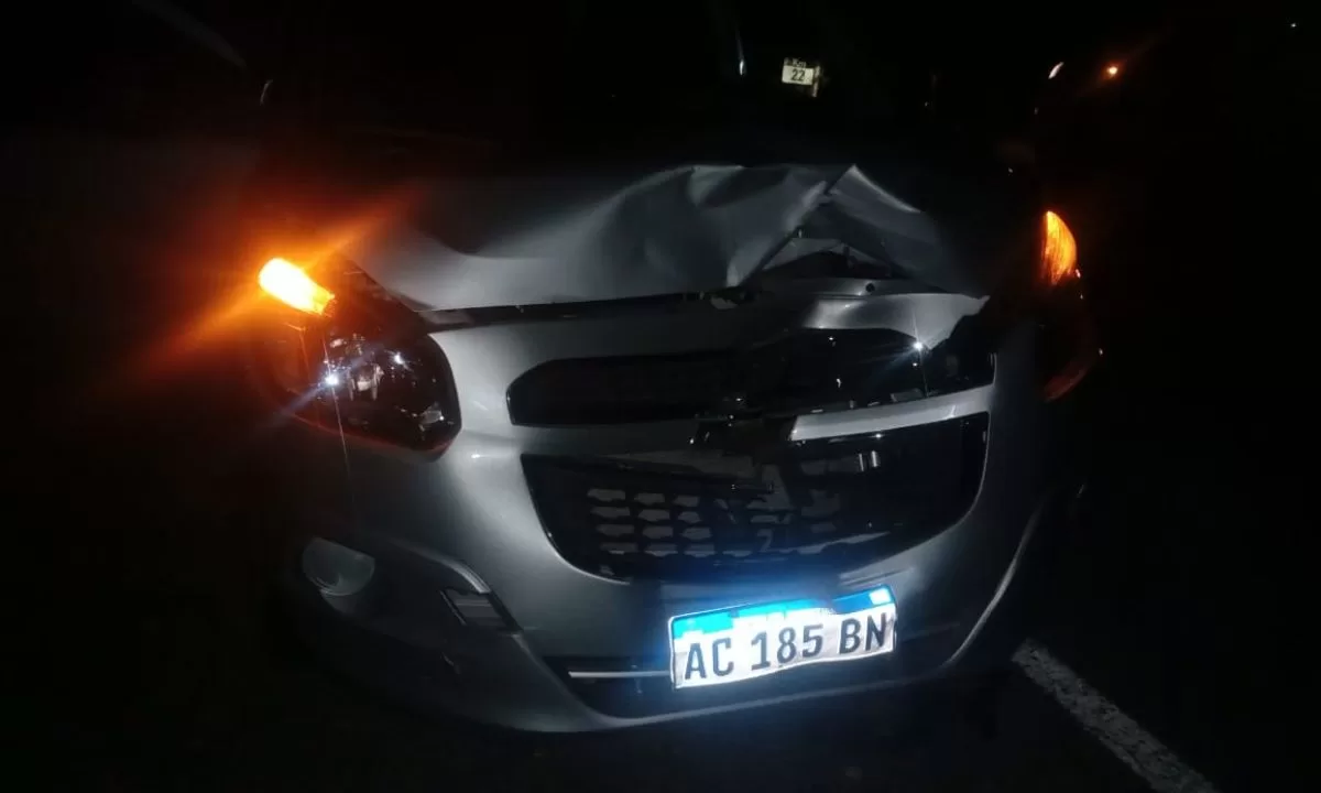Colisionaron contra un ternero en la ruta