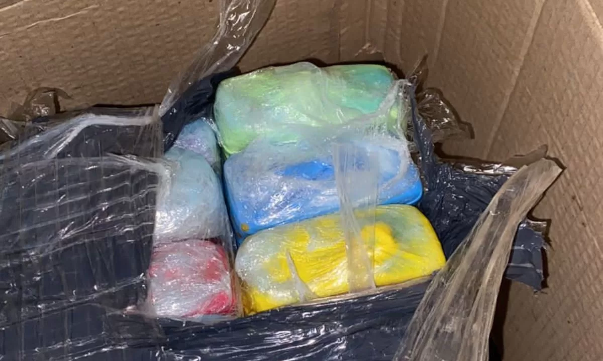 Encontraron 15 kilos de marihuana en un procedimiento de rutina