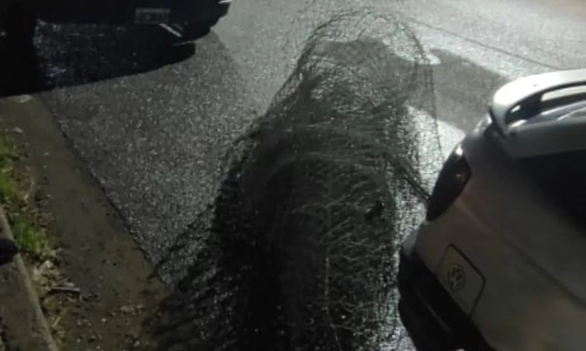 Detuvieron a dos sujetos robando un alambre perimetral