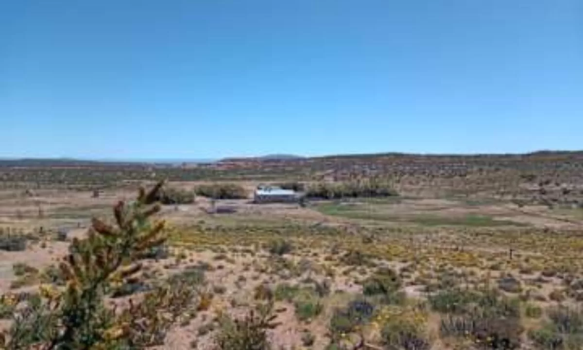 Es prácticamente imposible garantizar seguridad en los campos