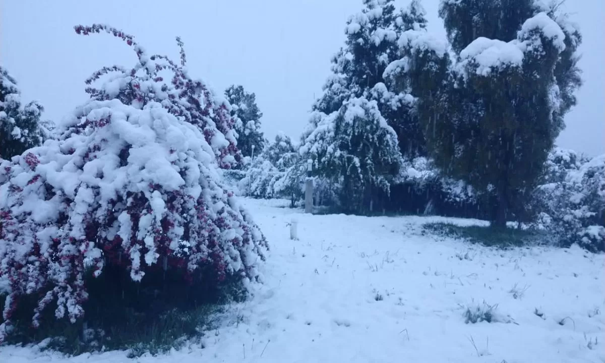 Sin mayores inconvenientes pese a las precipitaciones en forma de nieve en la zona cordillerana