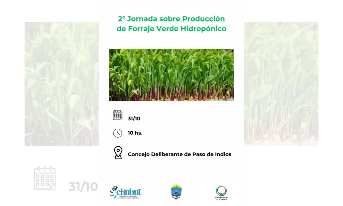 Provincia realizará la 2° Jornada sobre Producción de Forraje Verde Hidropónico en Paso de Indios