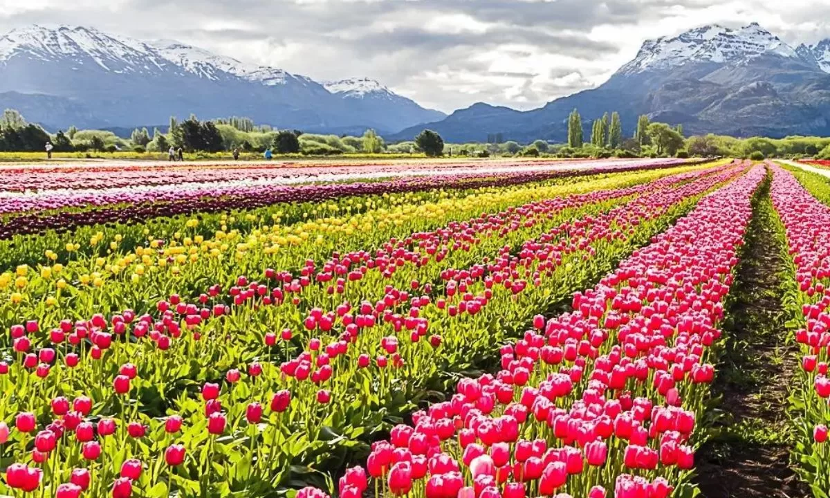 “Fue el mejor octubre en la historia de Trevelin”