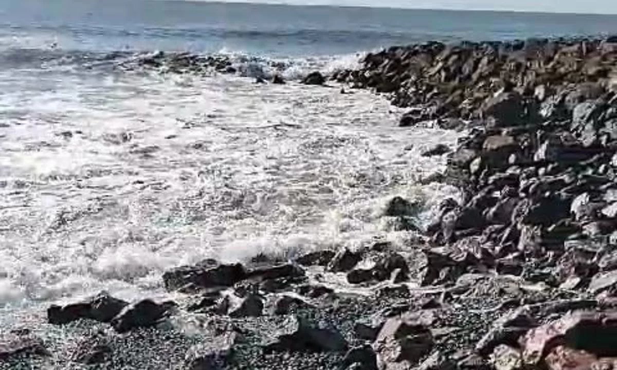 Ingresó a la legislatura el proyecto para declarar la emergencia costera en Playa Unión