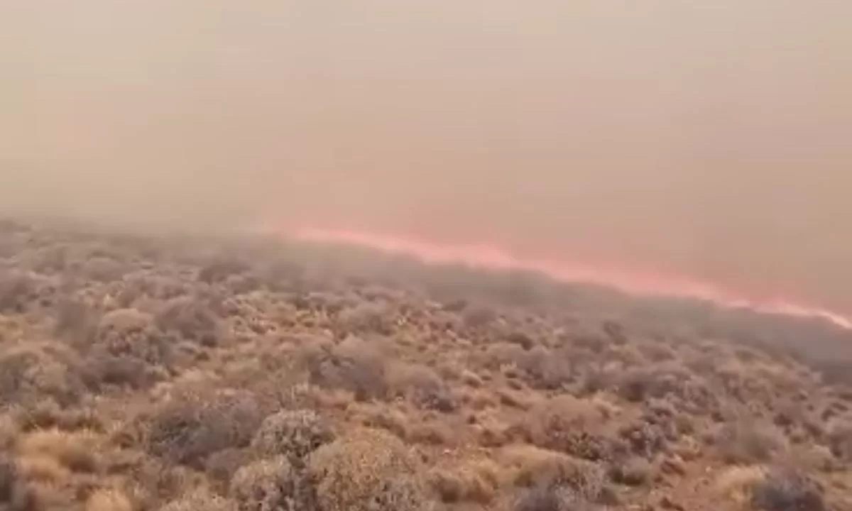 Incendio de pastizales puso en alerta a la comunidad de Facundo