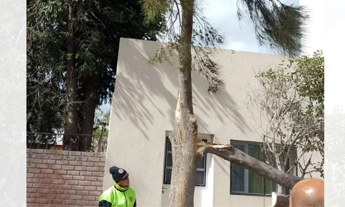 16 intervenciones durante la tarde de Rawson por el fuerte viento que azotó la zona