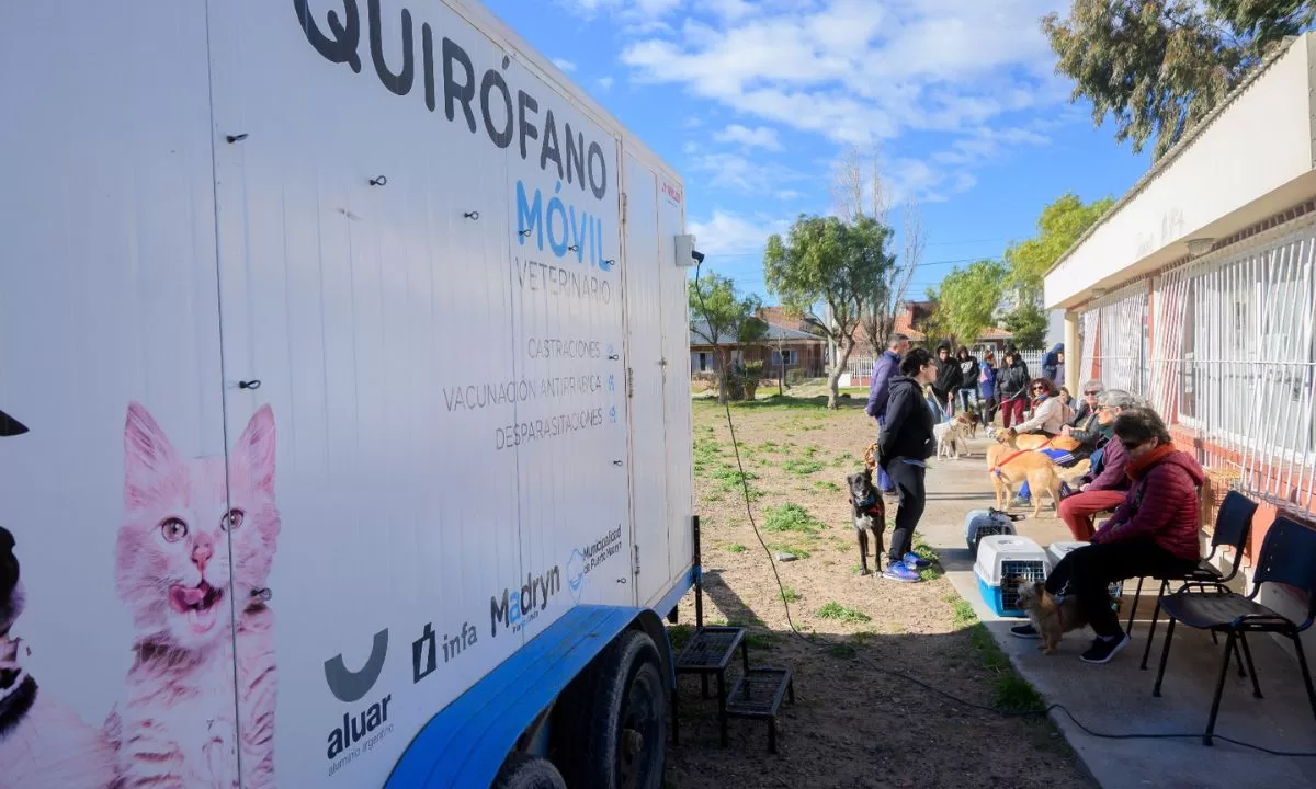 Campaña de castración gratuita para perros y gatos