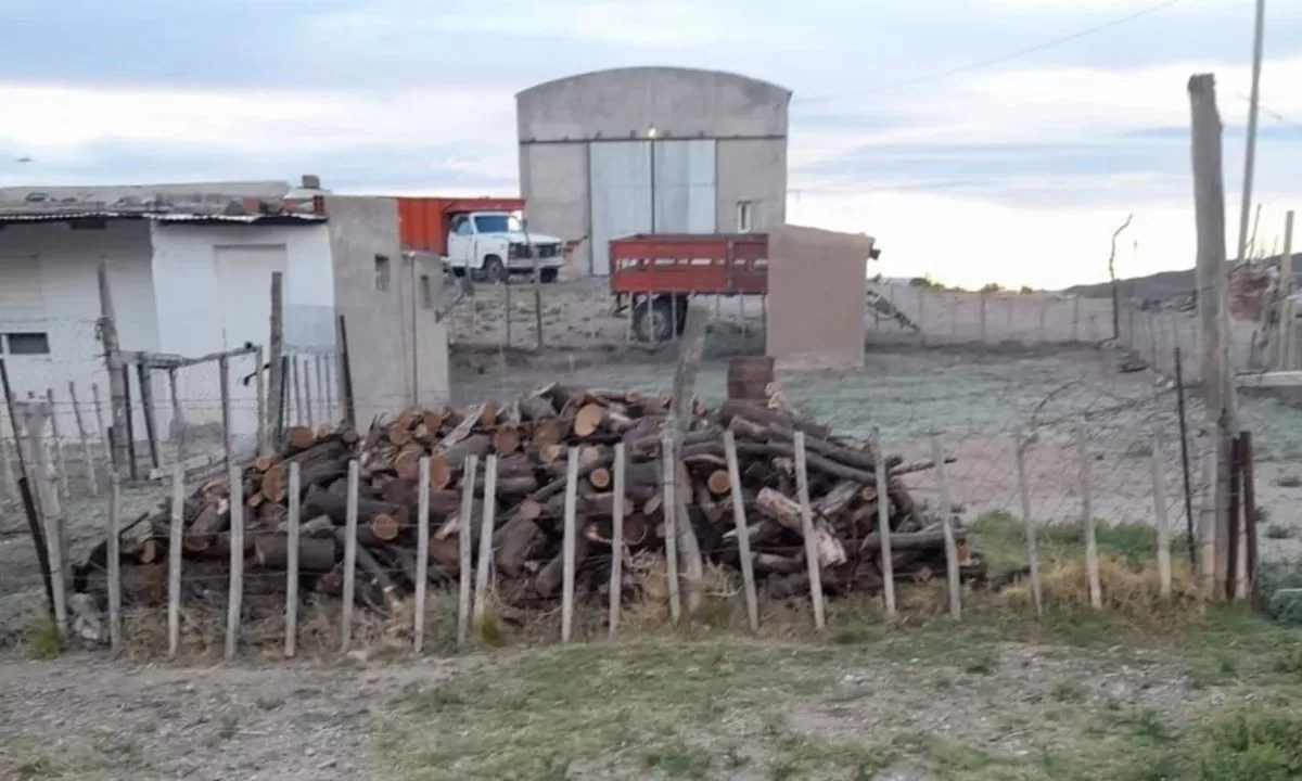 Pasó el invierno y la leña a Sierra Rosada nunca llegó 