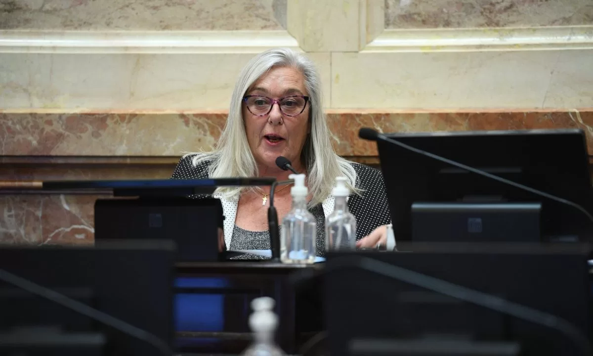 La senadora Terenzi cree adecuado que el DNU que envió Milei sea desglosado en proyectos de ley