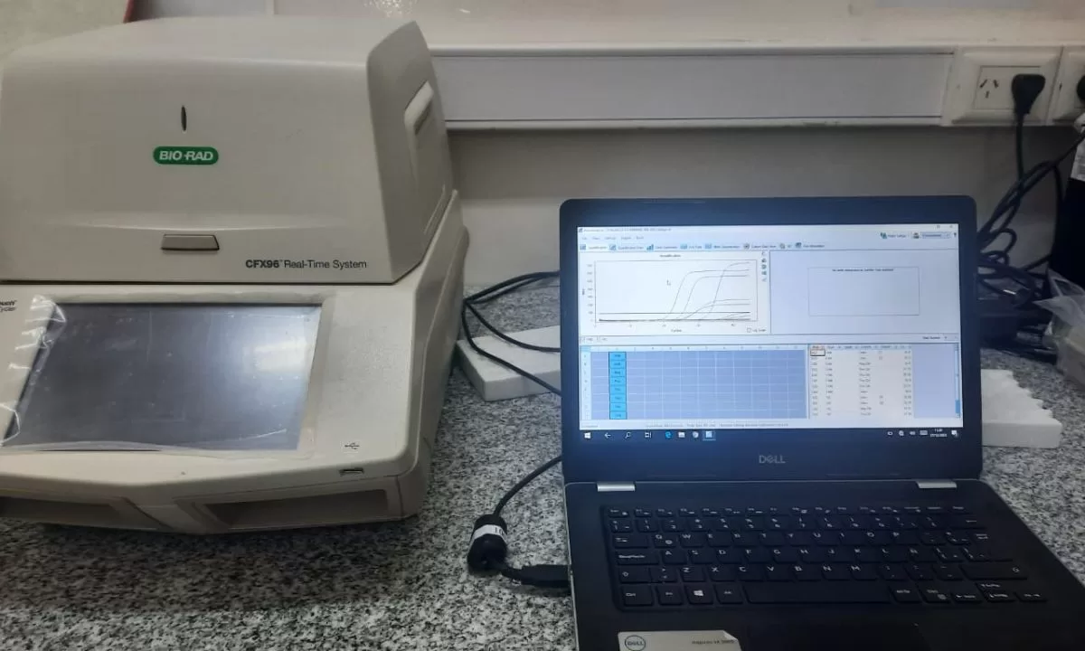 Chubut se convierte en la primera provincia patagónica en incorporar la técnica de la PCR para detectar el Chagas en recién nacidos