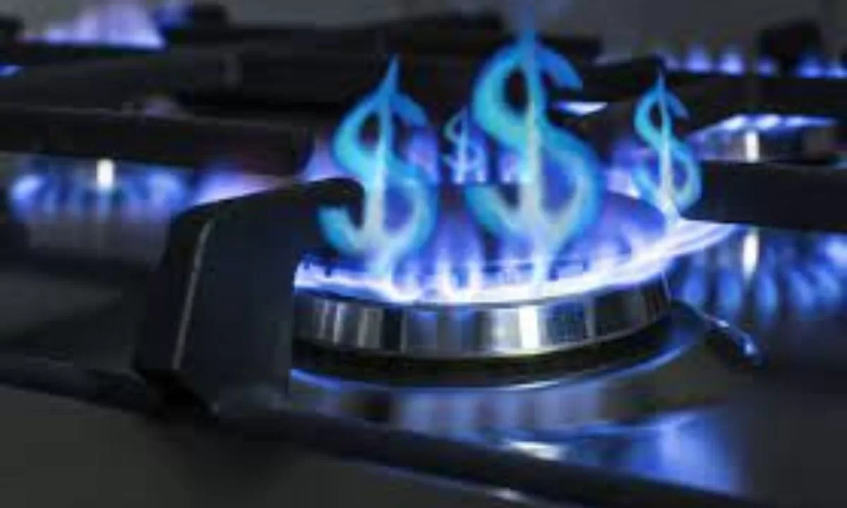 Este lunes es la audiencia por el aumento tarifario del gas