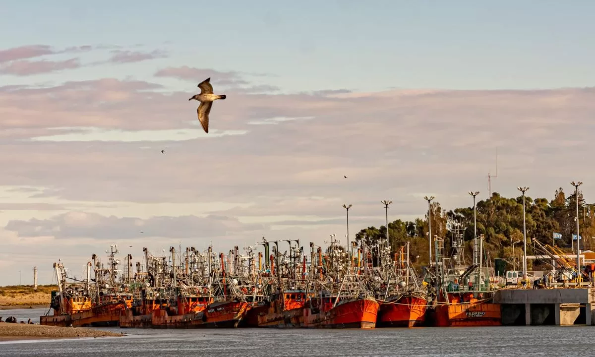 La Secretaría de Pesca dispuso la suspensión preventiva de un buque artesanal que operaba en Puerto Rawson