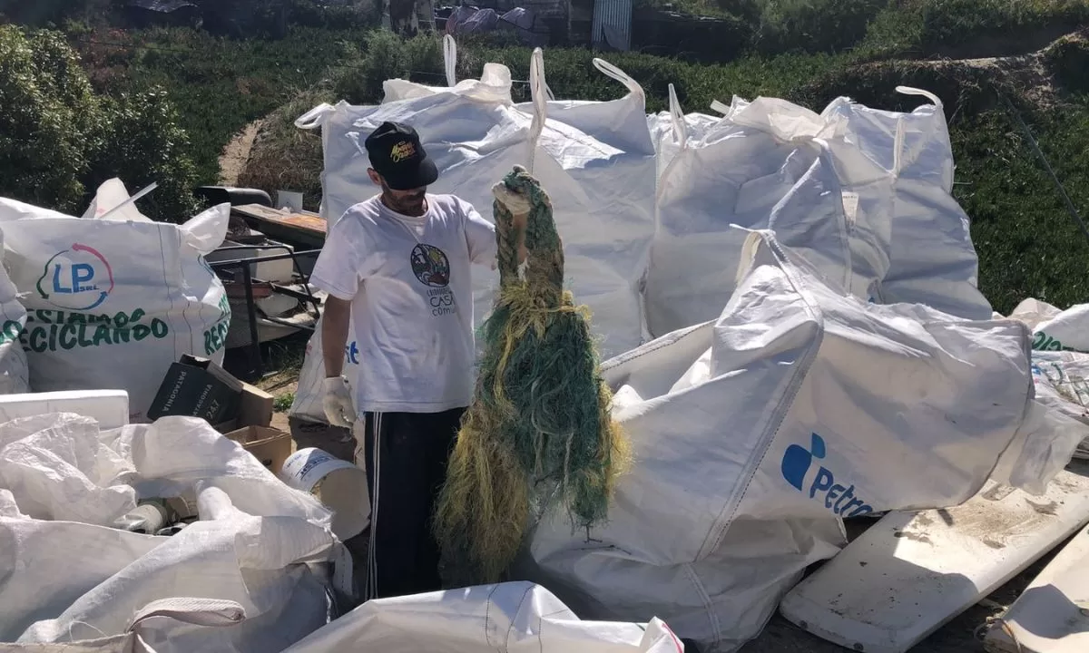 Organizan limpieza de Playa Punta Pardelas y Colombo