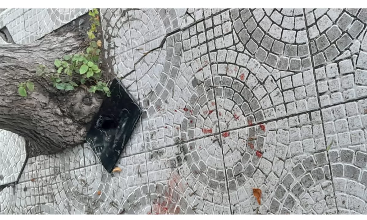 Cuatro detenidos por robo en un local comercial de Trelew