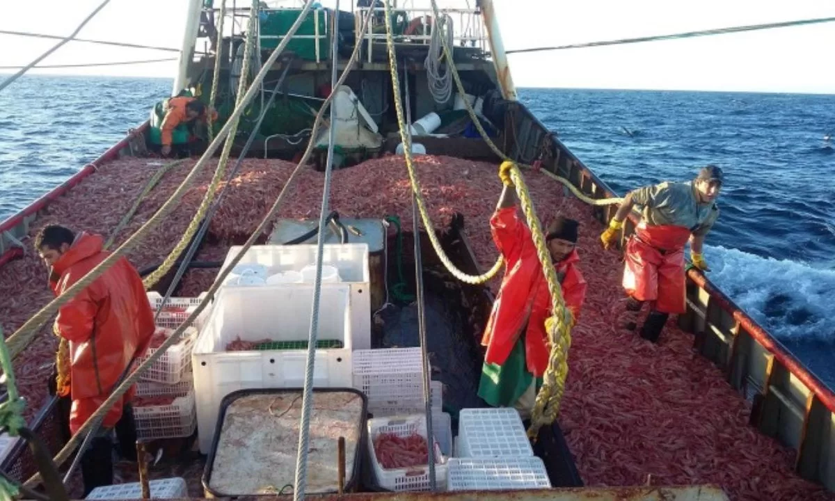 La serie de conflictos en el sector pesquero se transformó en «la tormenta perfecta»