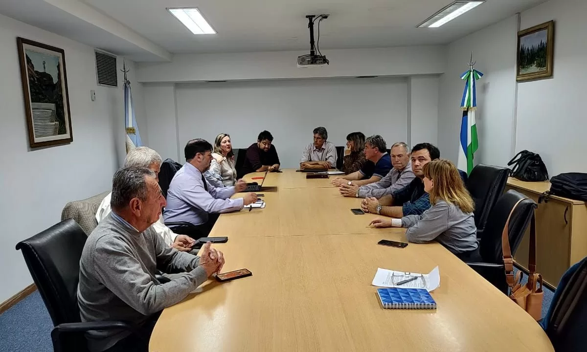 Chubut participó de reunión con Nación sobre programas de ganadería extensiva en la región patagónica
