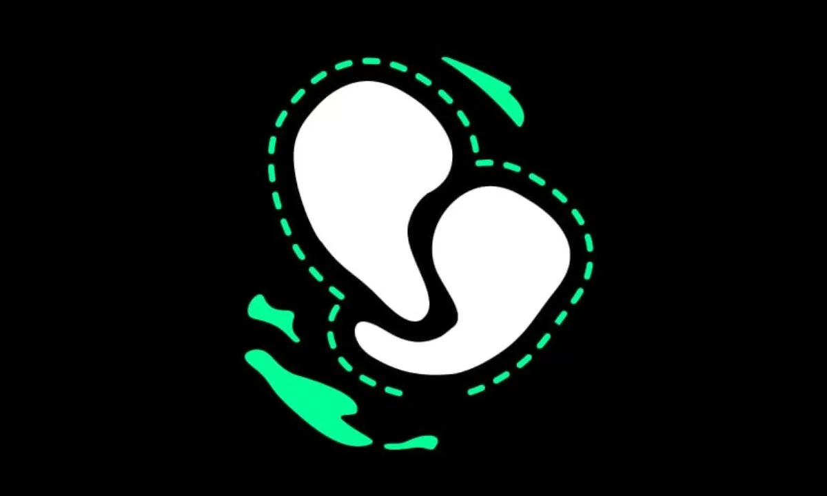 Nace Proyecto Gondwana, una cooperativa que combina Ciencia, Arte y Diseño para fortalecer la identidad patagónica