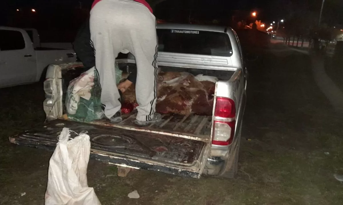 Interceptan a cazadores furtivos en Camarones que tiene fuertes lazos políticos con la autoridad municipal