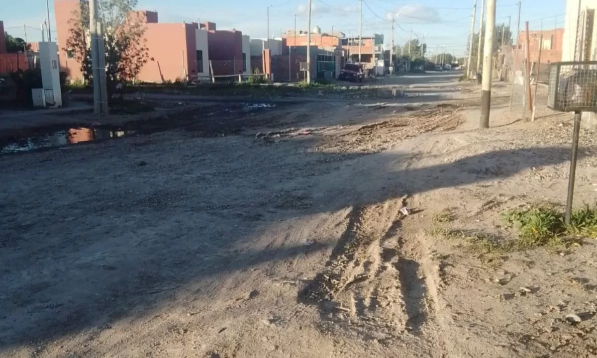 “Hace un año y medio que no pasa la máquina por las calles del barrio Moreira”, aseguró la presidente de la vecinal