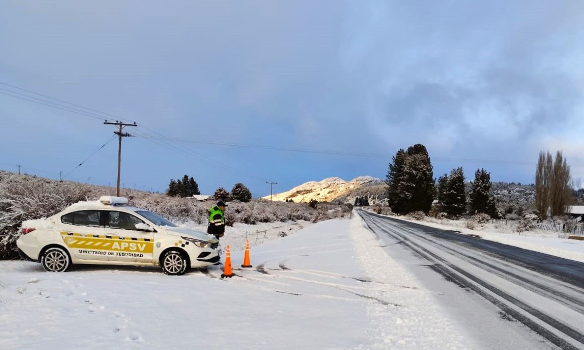 47 alcoholemias positivas en la última semana