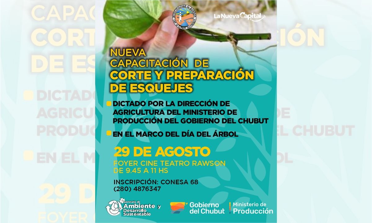 Dictan capacitación en cortes y preparación de esquejes