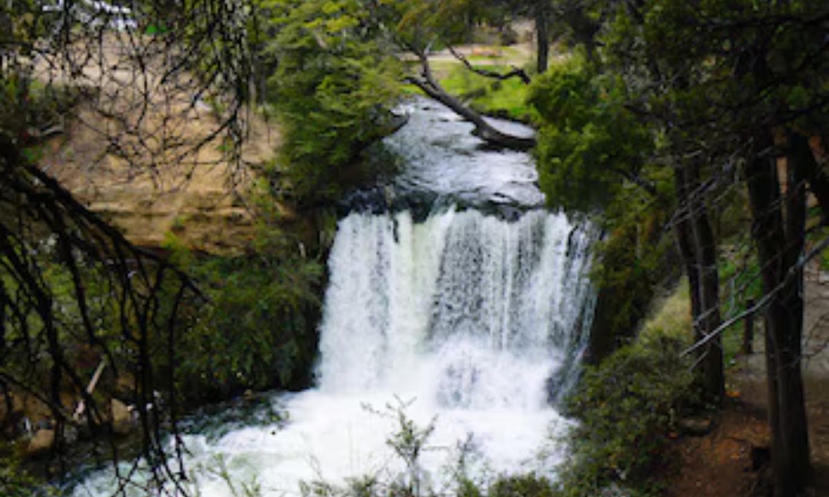 Un niño de 2 años murió ahogado en la reserva natural de Nant y Fall