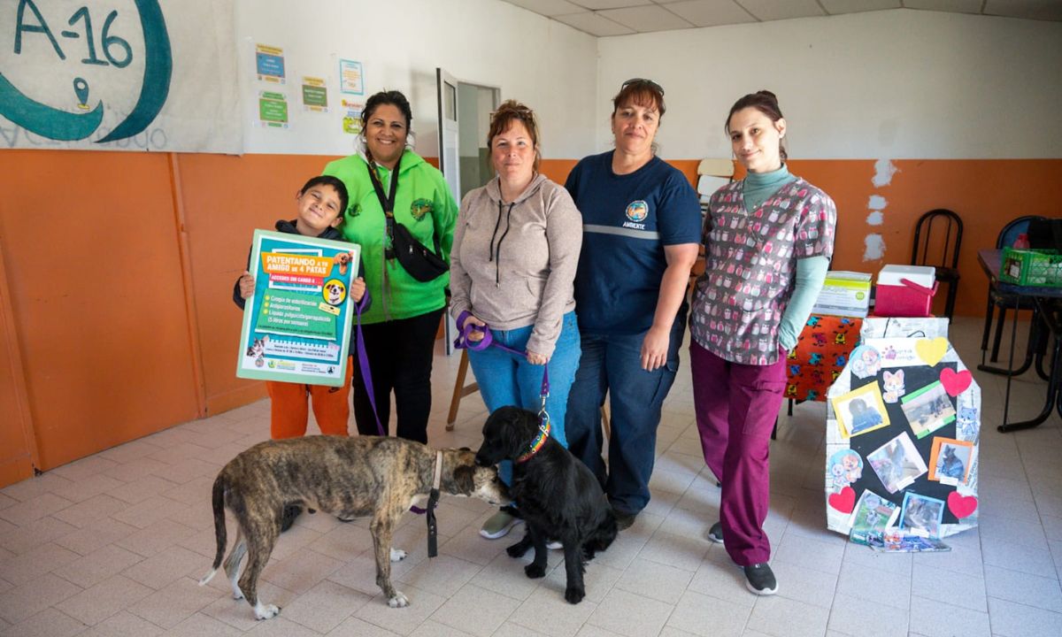 Rawson continúa con las campañas de vacunación antirrábica en los barrios