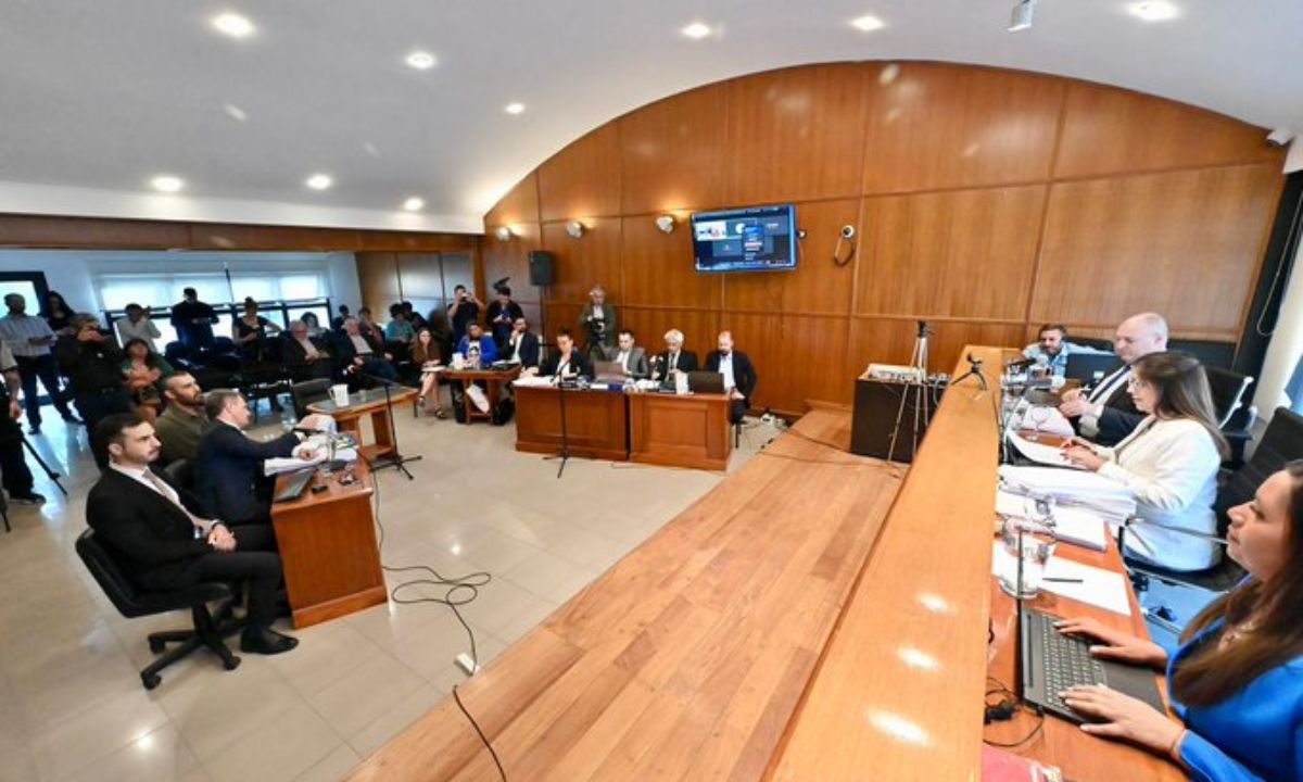 El tribunal halló culpable de daño agravado y crueldad animal a Ricardo La Regina