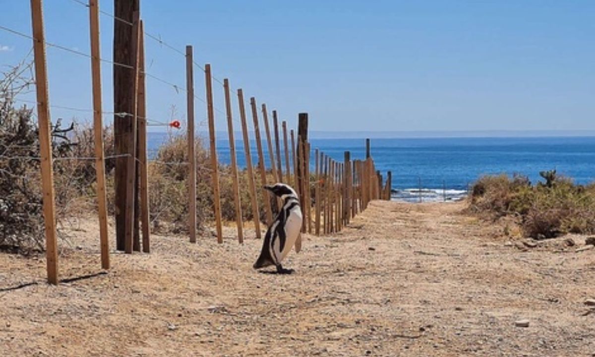 Ricardo La Regina cuestionó el proyecto de expropiación de su campo