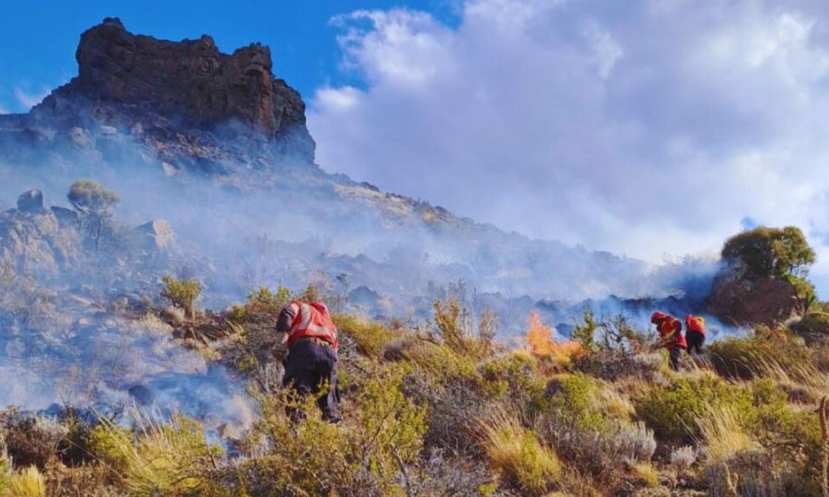Se lograron contener los dos incendios de bosques que quedaban activos en la cordillera chubutense