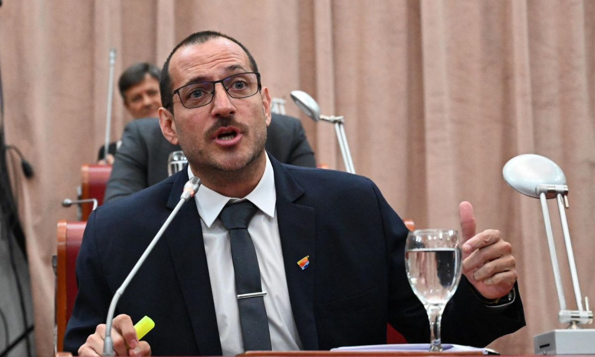 «Despierta Chubut» espera una oposición «razonable» en los debates legislativos