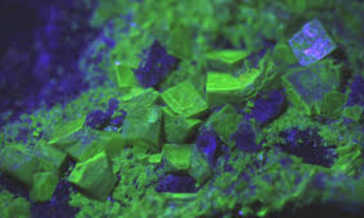 Entre las riquezas sin explotar que hay en el suelo chubutense, figuran «tierras raras» buscadas por la industria aeronáutica