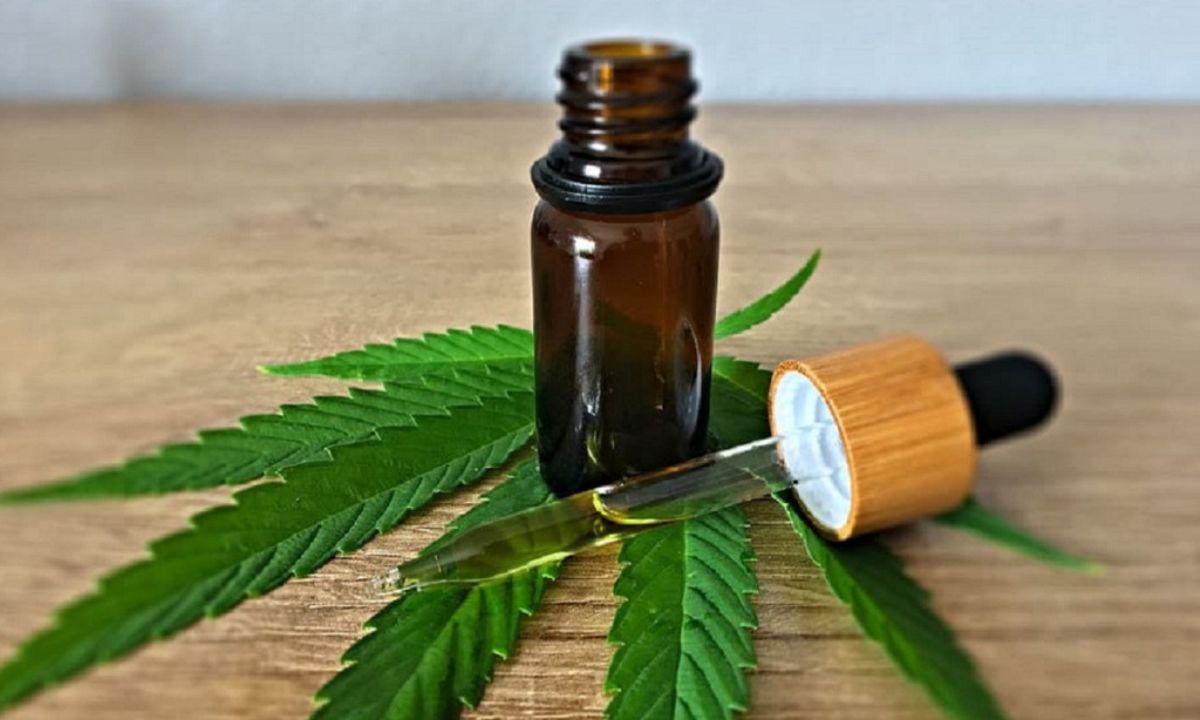 La Asociación Civil Cannábica “A1” presentó su trabajo ante la Policía del Chubut