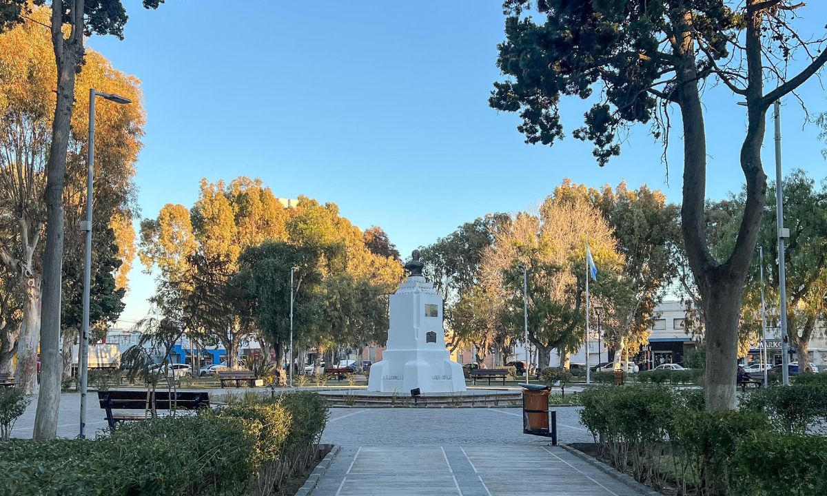 Se realizarán tareas de poda en la Plaza San Martín