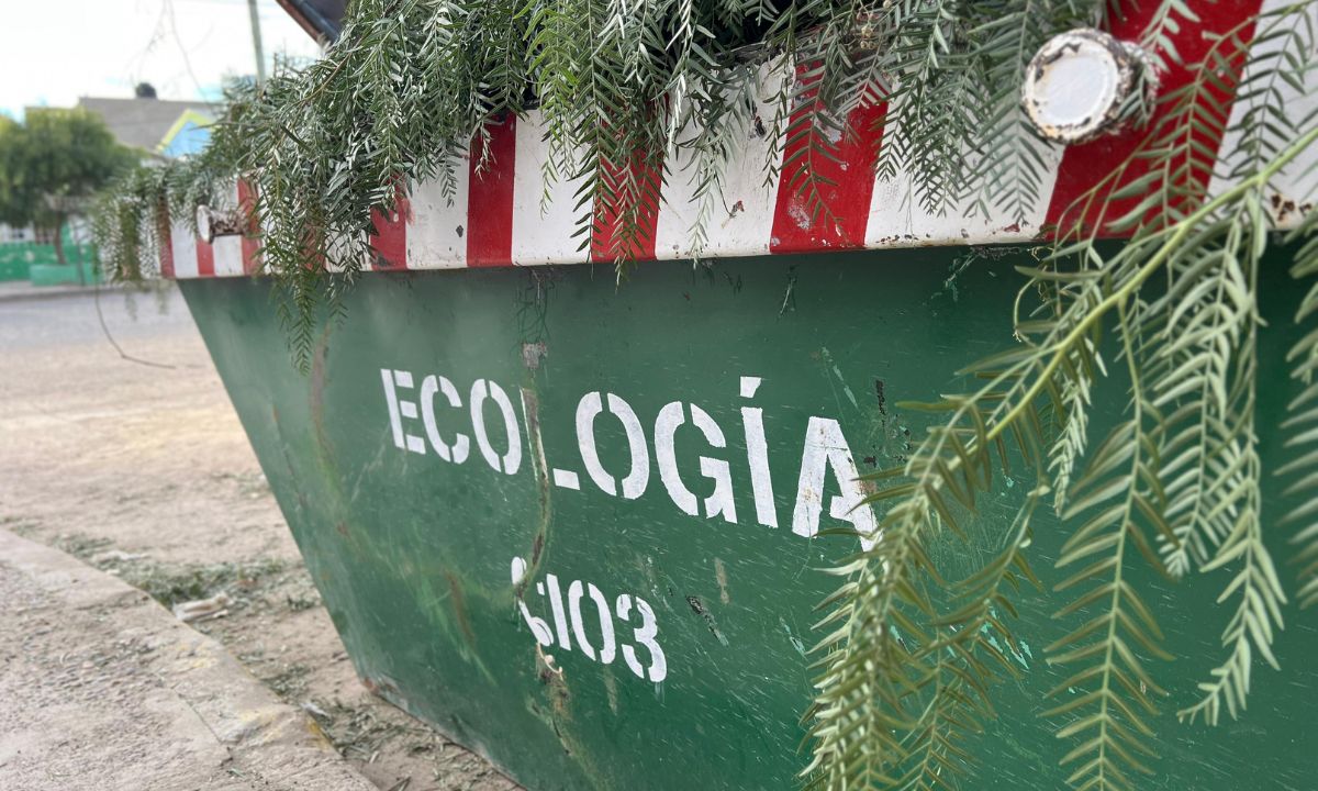 Continúa la campaña de limpieza en los barrios Conquistadores del Desierto, Distrito Forestal Norte y Comercio II, III, IV y V