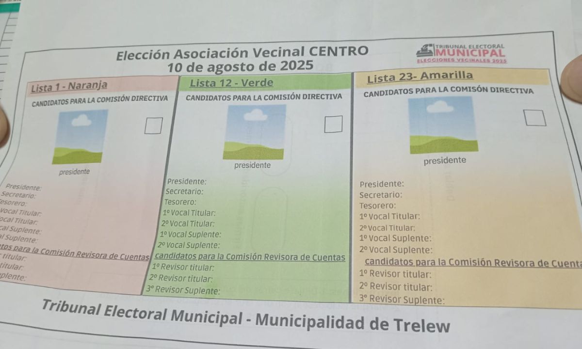 Elecciones Vecinales en Trelew: 9 barrios se preparan para elegir a sus autoridades