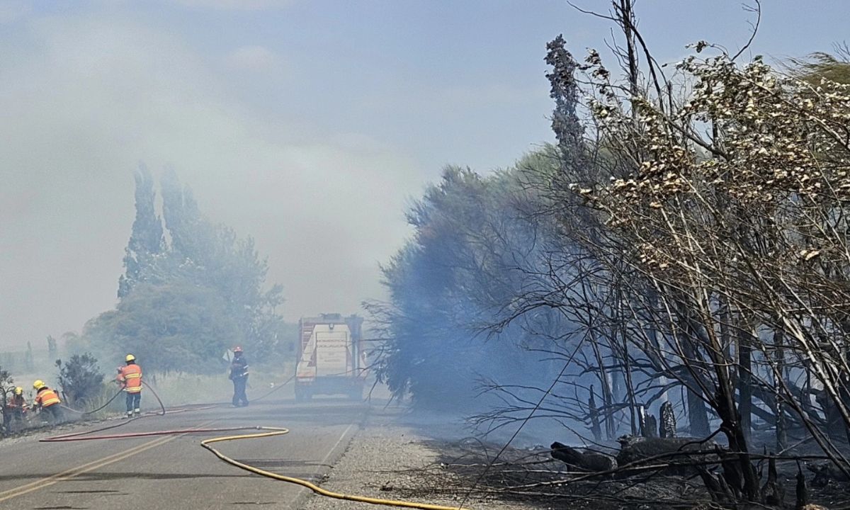 ARBOLES Y ARBUSTOS QUEMADOS AL COSTADO DE LA RUTA, UNA UNIDAD DE BOMBEROS Y PERSONAL DE BOMBEROS TRABAJANDO