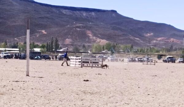 Se lleva a cabo la Fiesta del Perro del trabajo Rural en Telsen