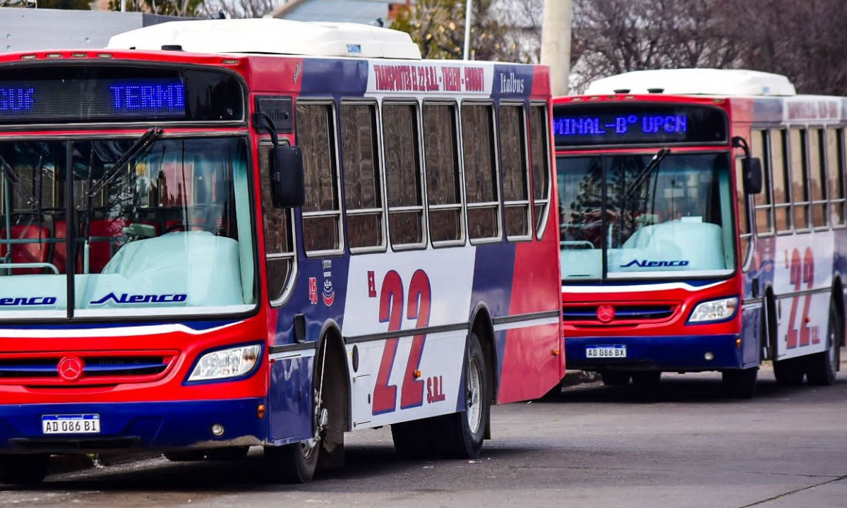 Trelew: retención de servicios por tiempo indeterminado en “Transportes El 22” por incumplimiento salarial