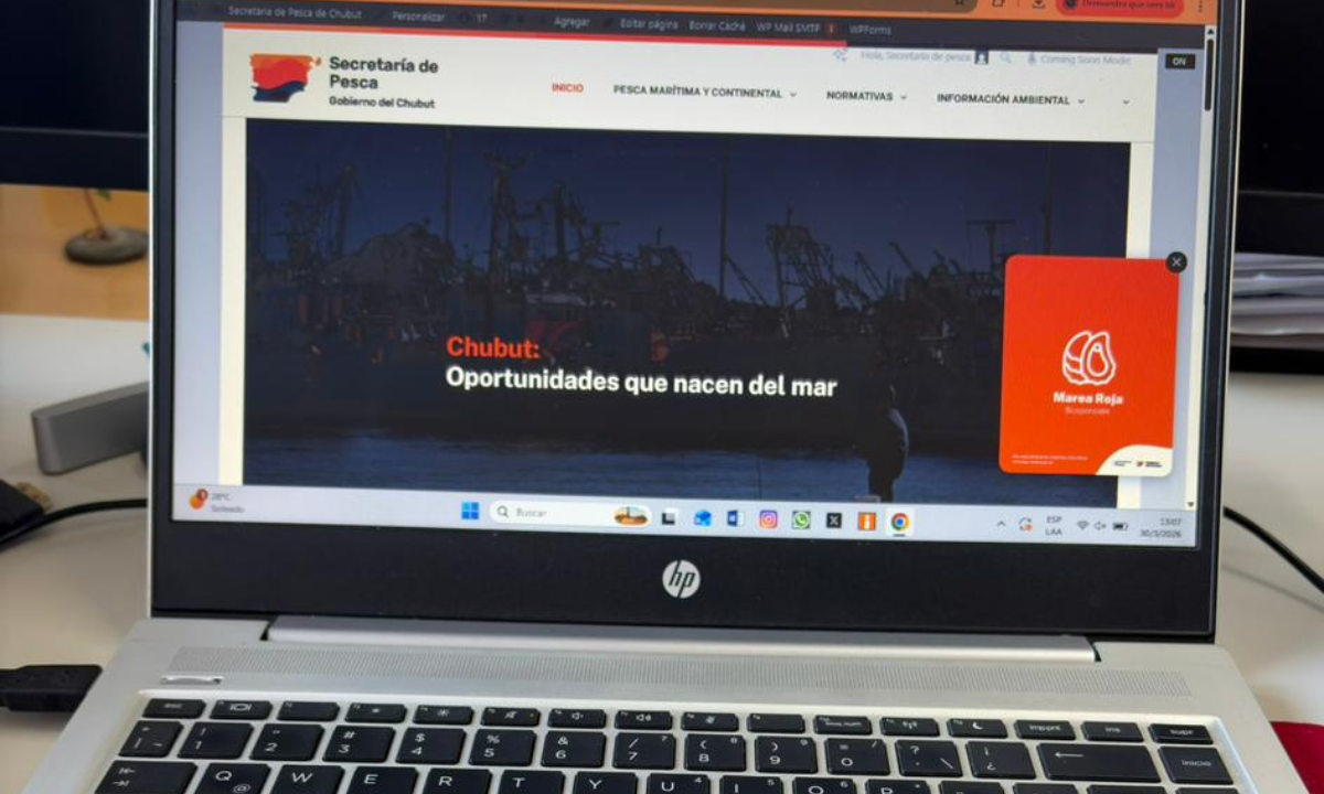 Chubut será la primera provincia en implementar un sistema de datos abiertos sobre la actividad pesquera