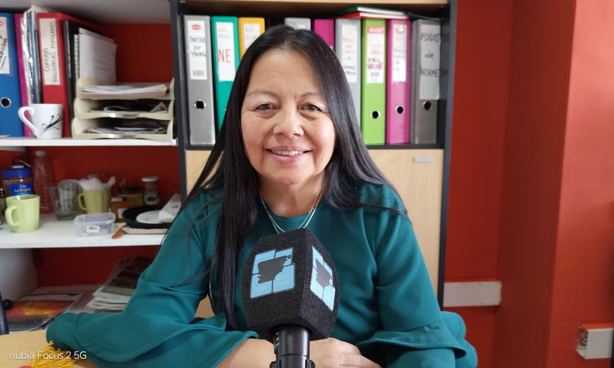 Severich advirtió por las dificultades en el acceso al Hospital María Humphreys por el transporte público