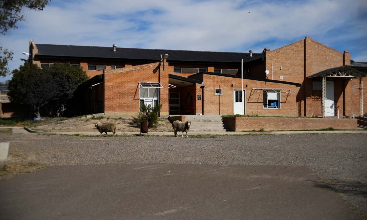 El Matadero de 28 de Julio realizó una faena experimental habilitada y refuerza su rol productivo en la región