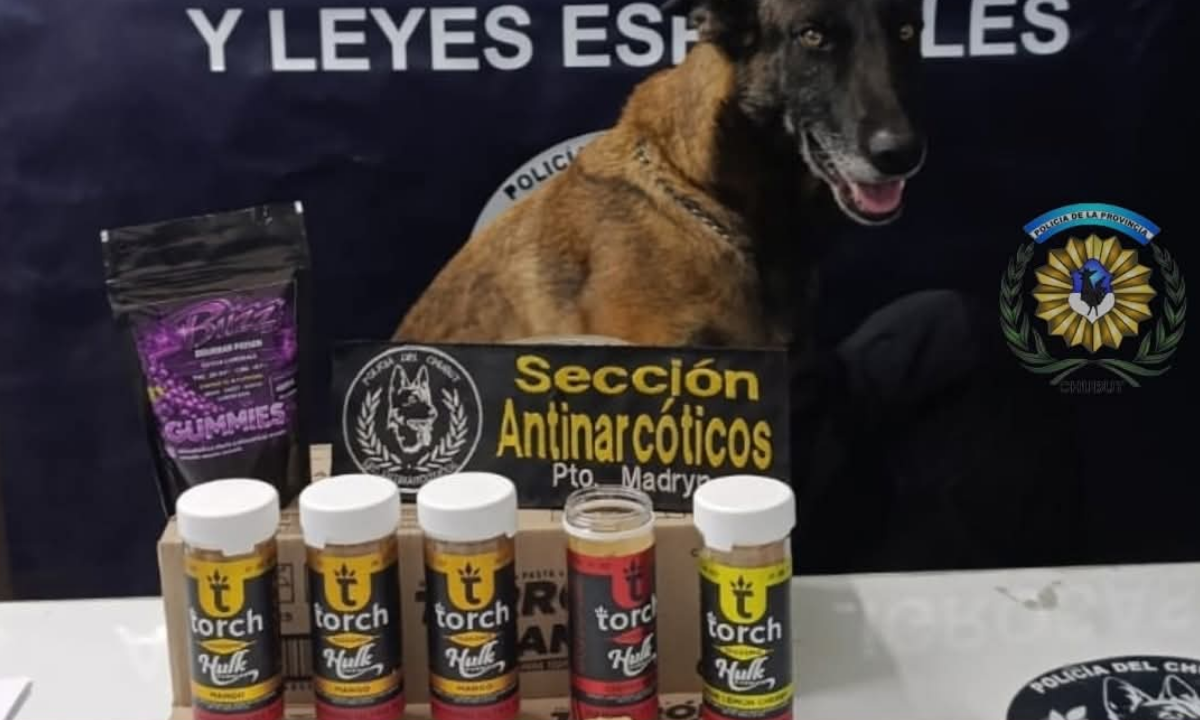 Secuestran “caramelos de marihuana” en un operativo en la terminal de Puerto Madryn