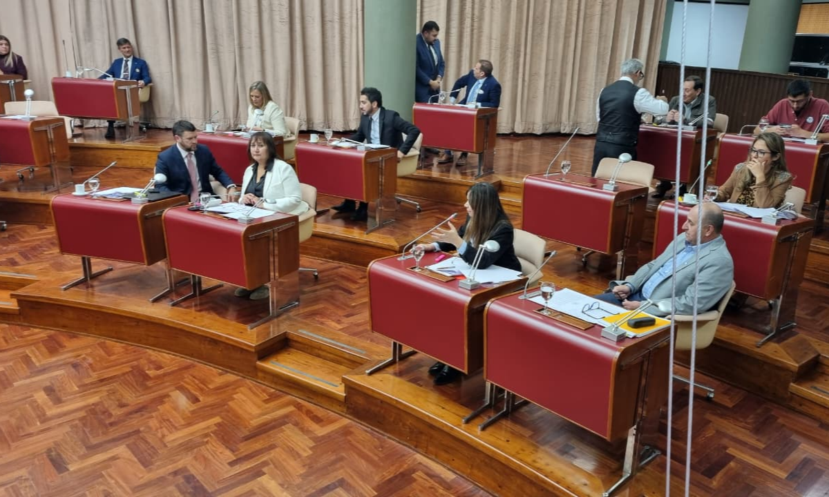 Diputada Arbilla convocó al ministro de Educación a la Legislatura por la crisis educativa