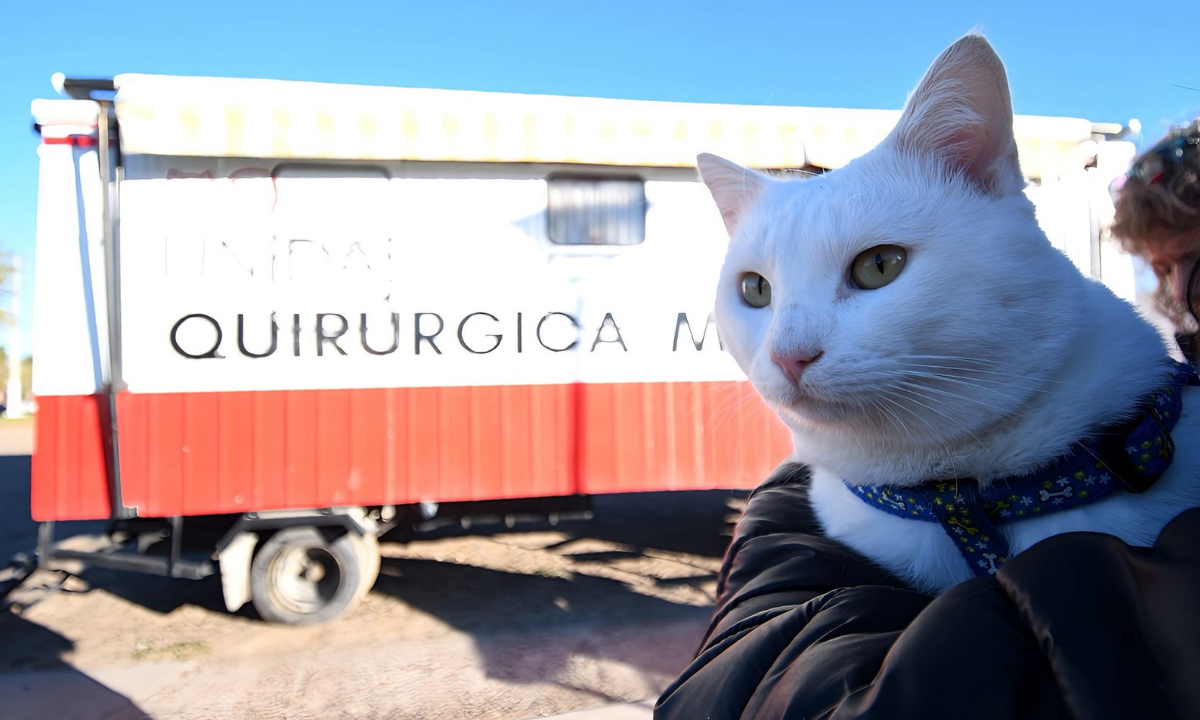 Jornada por el Día del Animal: Merino destacó la continuidad de la política en bienestar animal y salud pública